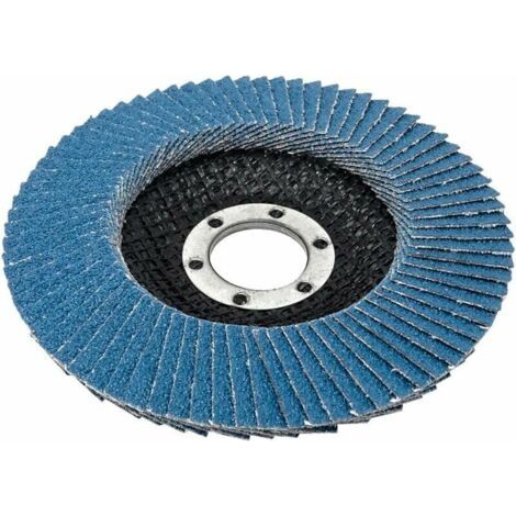 Compartiments Disques bleu 10 pièces 125 mm grain 80 Inox Disques Abrasifs Disques à Lamelles, (1/3)