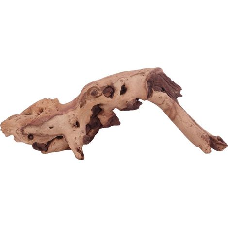 XL Mopani Wurzel Nr.4661 Holz Deko Aquascaping