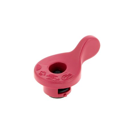 Valvola clipso rosa - Pentole a pressione - MOULINEX - 2950743663774119124