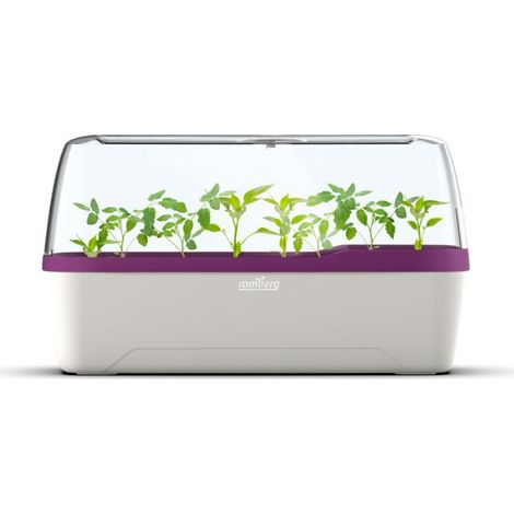 Boqube L Plus Greenhouse & Plant Box System 41x 17 x 23 cm (1/4)
