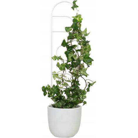 Soporte de metal blanco para plantas trepadoras, portale, 60cm de alto - Escalera escandinava para flores y macetas, estructura de soporte moderna para monstera, hoje (1/5)