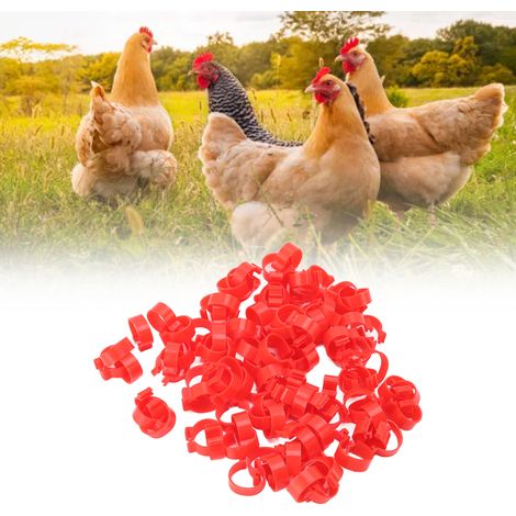100 anneaux pour pattes de volaille en plastique PP réutilisables, pour poulets, canards et oies, pour identification, rouges, 18 mm/0,7 pouce (1/5)