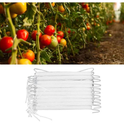 Pflanzenstützhaken J  10 Stück  Verzinkt  10 m Nylonseil  Für Tomaten, Gurken und Erbsen