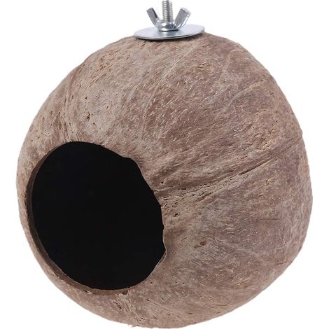 Nid oiseau noix coco perruches conures calopsittes petits animaux maison animaux domestiques jouets décoratifs gris africain petits (1/5)