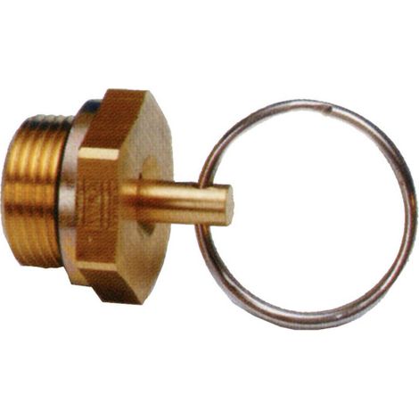 Grifo de Purga 06290401 (1/2)