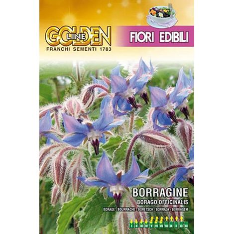 SEMI BORRAGINE EDIBILE GOLDEN LINE FRANCHI SEMENTI