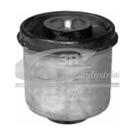 3RG 50734 SILENTBLOC EJE