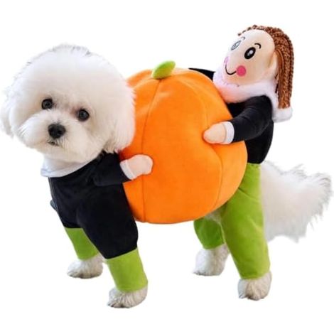Costume de pour chien mignon et doux (1/5)