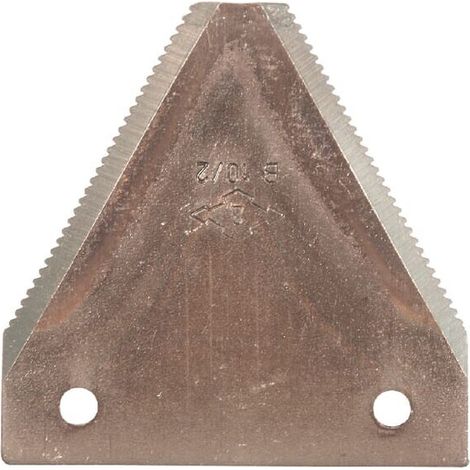 Section ALPINA B102N