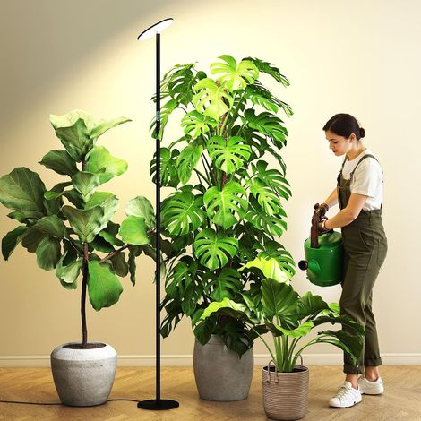 60W Indoor Plant Standing Horticultural Lamp, Height 85mm, Adjustable Daily Cycle Timer 1-24H LCD Display, Dimmable, Lighting for Large Indoor Plants (1/5)