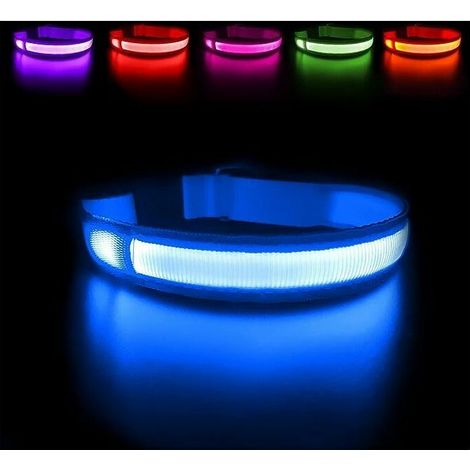 Collier pour chien rechargeable et étanche, collier de sécurité LED clignotant avec ceinture réglable pour petits/moyens/grands chiens (bleu, L) (1/5)