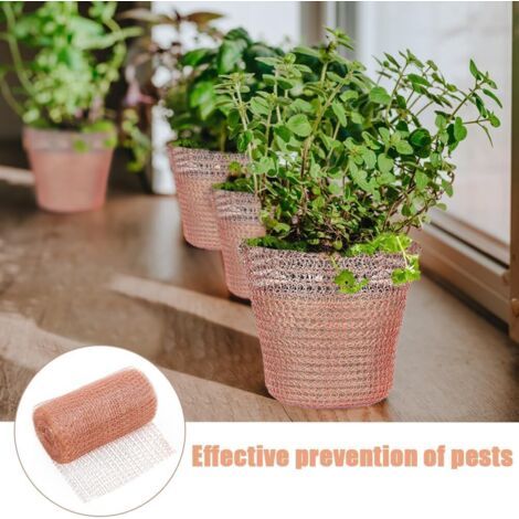 Grillage en cuivre, 12,7 cm x 12 m, grillage anti-rongeurs, repousse les limaces et les escargots, utilisé pour la protection du jardin. (1/3)