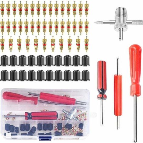 64 Pièces Outils pour Valves de Pneus, Démonte Valve Pneu, Démonte Obus de Valve des Pneus, Demonte Obus Valve Voiture, Outil de Réparation de Valve de Pneu, pour Vélo Moto Voiture Camion de Pneu