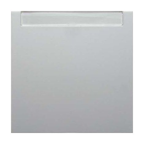 BERKER 16261909 WIPPE MIT BESCHRIFTUNGSFELD S.1/B.1/B.3/B.7 GLAS POLARWEIß, MATT