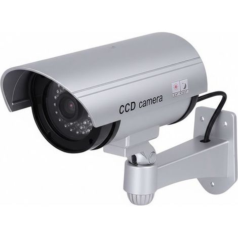 Caméra de Dissuasion Type Tube pour Intérieur / Extérieur avec LED Apparentes Argent (1/4)