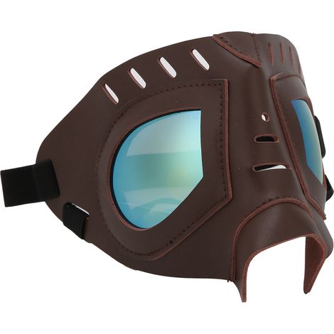 Lunettes de protection pour animaux de compagnie, anti-éblouissement et protection UV, accessoire de mode pour chiens et chiots (1/5)