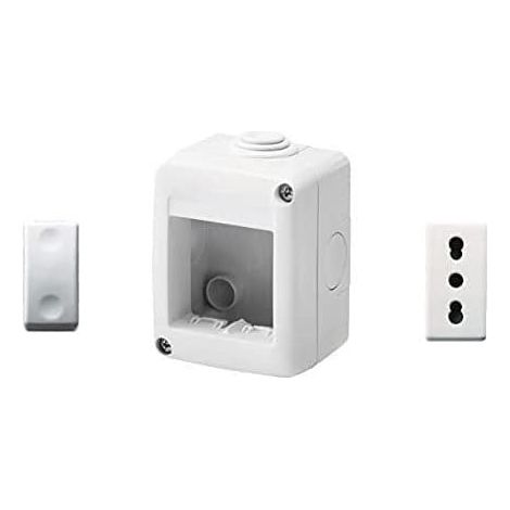 GEWISS - DY01005 Contenitore per apparecchi 27 Combi protetto 2 Posti grigio RAL 7035 IP40 con Nr. 1 Presa Bivalente bianca, Nr. 1 Interruttore bianco (1/2)