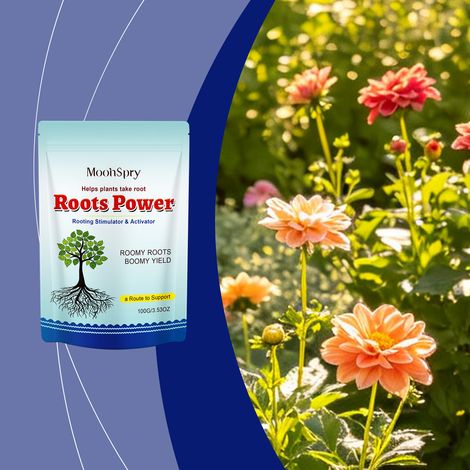 Poudre d'enracinement pour la croissance des racines, complément nutritif, convient au jardinage quotidien et aux plantes d'intérieur – 100 g (1/5)