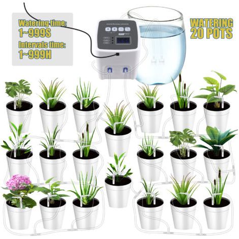 RHG Arrosage automatique 110-240V double pompe CE/ROSH sans batterie jardin balcon (1/5)