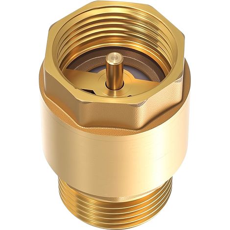 Clapet Anti-Retour Laiton 1" - Filetage Mâle - DN25 - Pression 1.6MPa (1/5)