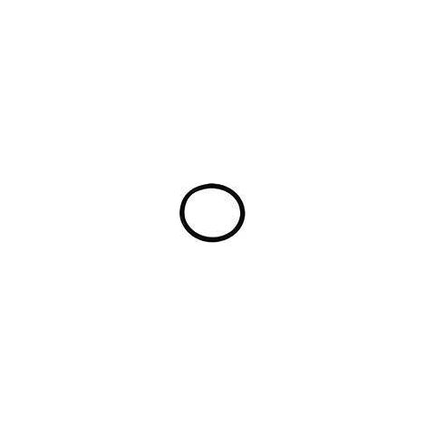 -Ersatzteil O-Ring 22 X 2