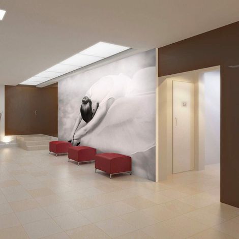 Papier peint photographie : ballerine - 300 x 230 cm (1/4)