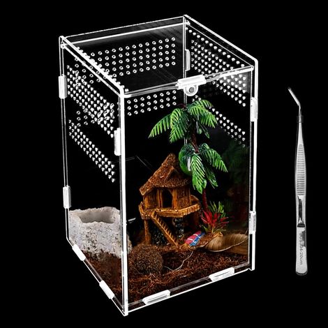 1 Terrarium Acrylique, Boîte Élevage Reptiles, Conception Anti-Évasion, Ventilation 360 Degrés, Pour Insectes Rampants