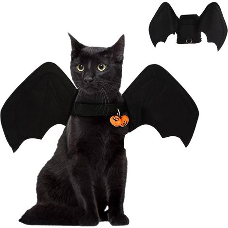Fledermaus-Hundekostüm mit 42 cm langen, faltbaren Flügeln aus strapazierfähigem Material – Halloween-Haustierkostüm mit verstellbarem Band (1/5)