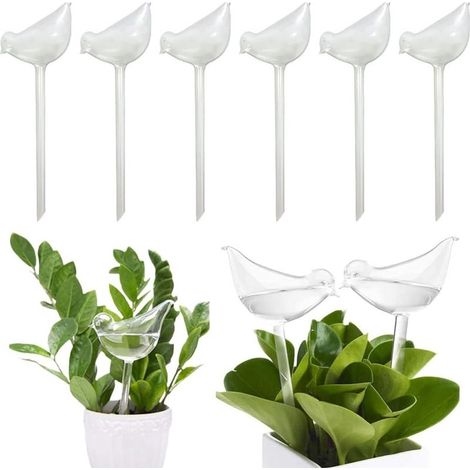 Boules D Arrosage - Verre Soufflé Main - Pour Plantes En Pot Intérieur Extérieur - 6 Pièces (1/5)