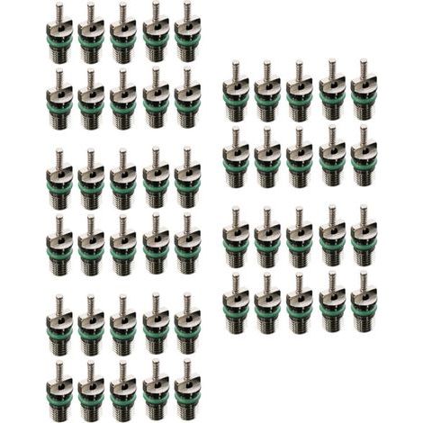 50Pcs Résistant À la Chaleur Réfrigérant de L'Assortiment 134A D'Aiguilles de Noyau de Valve À Ca R134A de Voiture (1/2)
