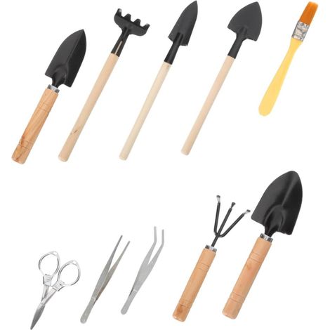 Mini-kit de Plantation 10 Pièces Bois Fer pour Succulentes Pratique et Sûr, Usage Intérieur pour Semis, Format Compact pour Bonsaï (1/5)