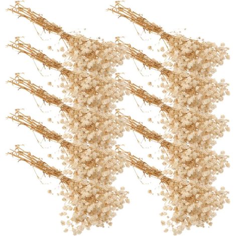 Bouquet de Fleurs Séchées Beige Réaliste, 10 Bouquets en Matériau Synthétique sans Entretien, Décoration pour Rebord de Fenêtre ou Chambre (1/5)