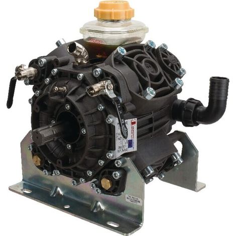 Pompe BERTOLINI 41711297B (1/2)
