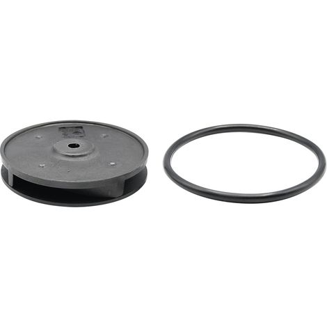 Guarnizione Girante Ricambio Fluxy Codice 609091