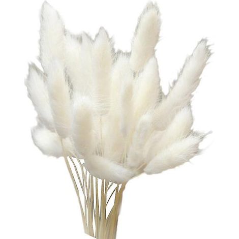 Les 20 nouvelles fleurs séchées