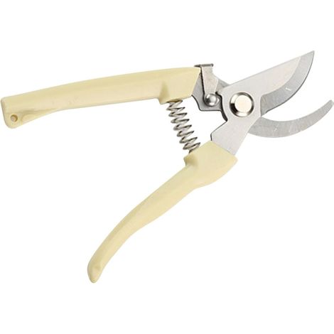 Ciseaux de fleuriste inox, pour branches et taille de plantes (1/5)