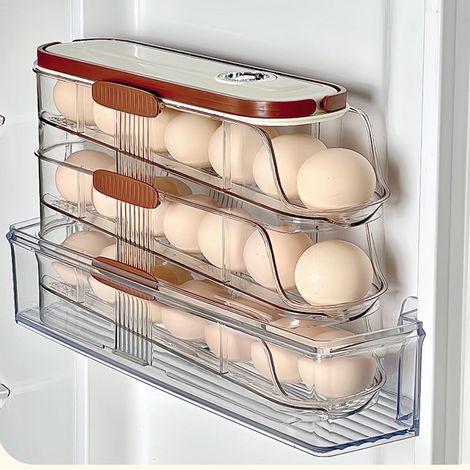 Rack De Rangement Pour Porte De Réfrigérateur - Support À Rouleaux Rétractable Pour Œufs - Adaptatif À Toutes Les Tailles De Porte - Capacité 1 À 3 Niveaux - 1 Pièce (1/5)