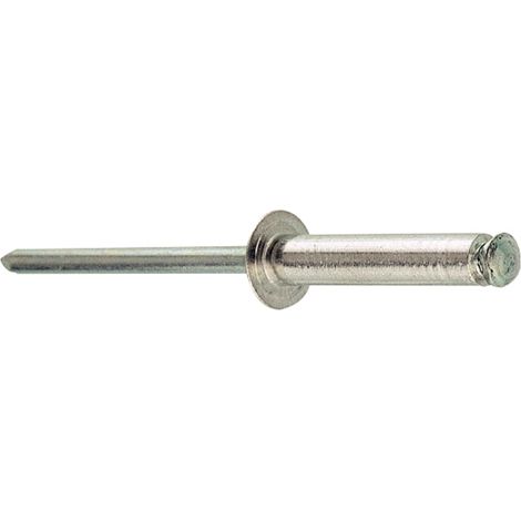 CELO remache cab. alomada rs 48x8  500 un , Remache Cab. Alomada Rs 48X8 500 Un de la marca Celo.