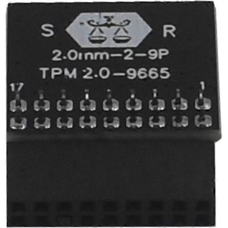 Module de sécurité TPM 2.0 pour carte mère ASRock - Cryptage à distance, module mini sécurisé (1/5)