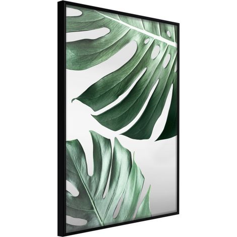 Affiche Murale Encadrée "Leaves Like Swiss Cheese" 21 x 30 cm Noir