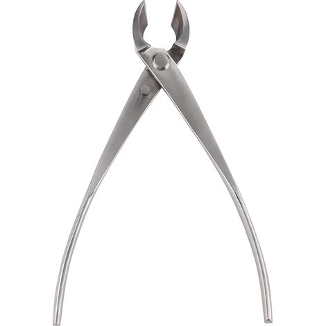 Tagliarami professionale – lama arrotondata in acciaio inox – attrezzo per bonsai