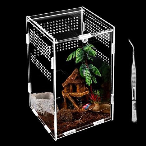 Acryl-Terrarium, Reptilienzuchtbox, ausbruchsicheres Design, 360-Grad-Belüftung, für kriechende Insekten (1/5)