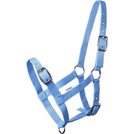 1 Licol Poulain Réglable Nylon Imprimé Bleu Clair Équitation (1/5)