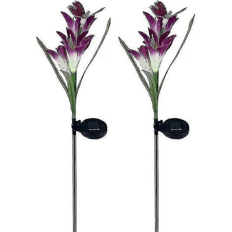 Lot de 2 lampes LED violettes solaires étanches pour pelouse, jardin, cour, parc, allée, couloir, éclairage décoratif (Taille : Violet Lys) (1/5)