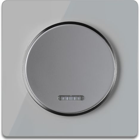 Kontrollschalter 1fach mit Glas-Abdeckrahmen in Grau (1/4)