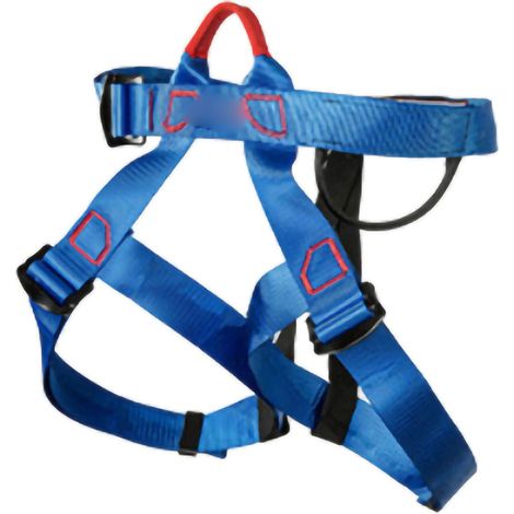 Harnais de sécurité descente escalade roche bleu ceinture taille protection altitude extérieur (1/5)