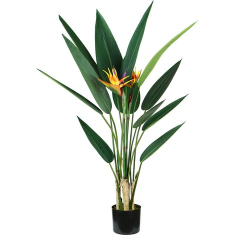 King Home STRELITZIA Pflanze H. 120 cm 12 BLÄTTER + 2 BLUMEN komplett mit Moostopf (1/4)