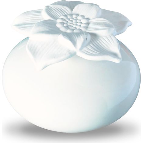 Diffuseur de Parfum par Capillarité Fleur Narcisse Blanc – Diffuseur Huile Essentielle Parfum d’Ambiance et Senteurs Maison – Vase en Céramique et Fleur en Plâtre – Diffusion Naturelle (1/5)