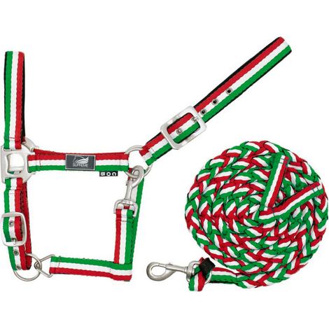 Full, Blu Navy / Bianco / Rosso: Cavezza in tessuto morbido tricolore con doppia regolazione e moschettone con longhina (1/3)
