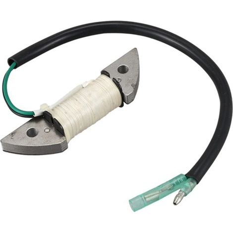 Bobine d'allumage pour moteur hors-bord Tohatsu 2 temps 9.8HP - Compatible avec 3B2-06120-0 et Tohatsu T8 9.8HP.